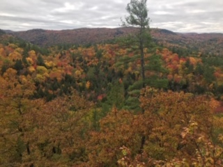 16 Choose to be Happy