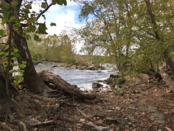 18 You are not alone