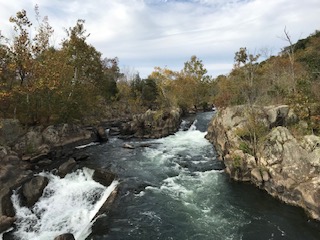 persuing the one you love 1